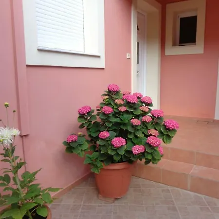 Angelina's Helmata Tatil Evi Argostolion